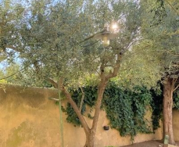 Location Appartement 3 pièces Le Thor (84250)