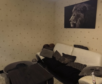 Location Maison 3 pièces Druye (37190)