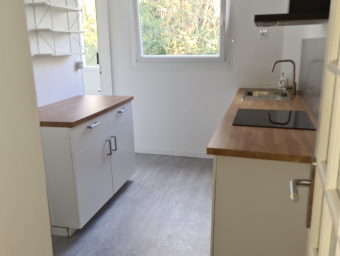 Location Appartement 5 pièces Nantes (44000) -  parc de procé