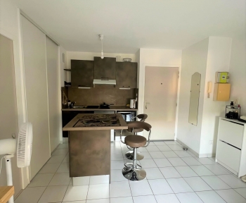 Location Appartement 2 pièces Avignon (84000) - Avenue de la Synagogue